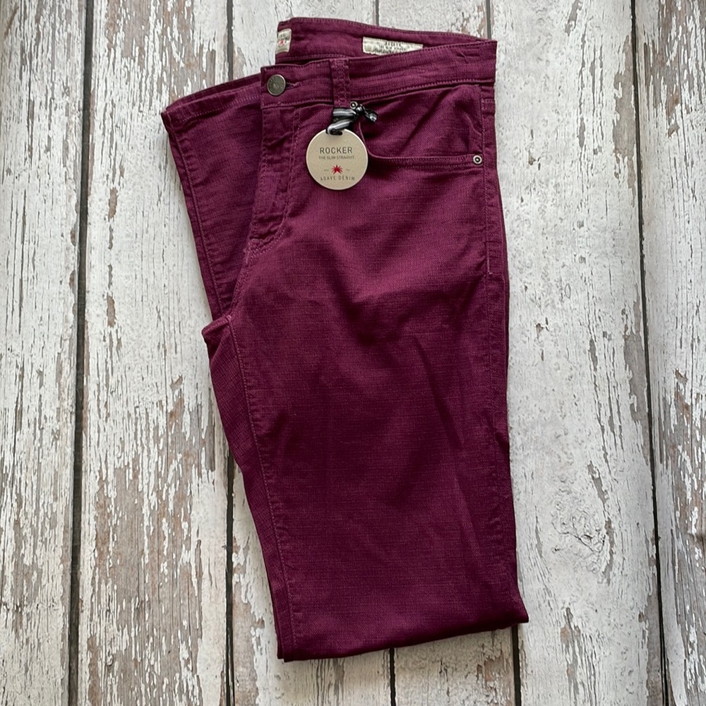 Agave Denim Rocker The Slim Straight